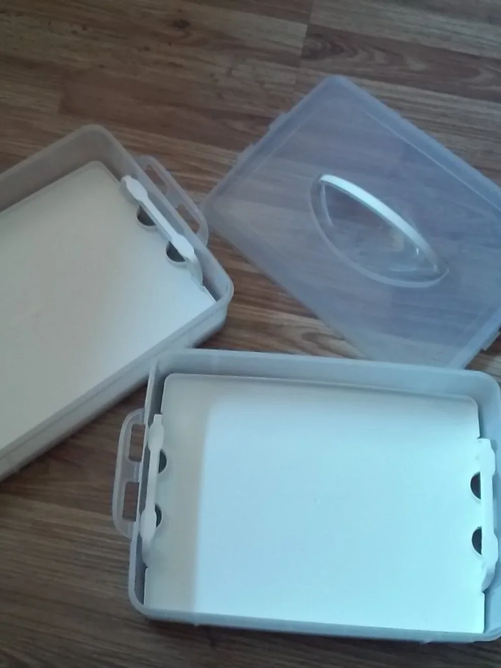 Snapware Reversible Trays Food Or Eggs Carrier